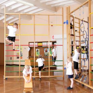 Climbing Frames