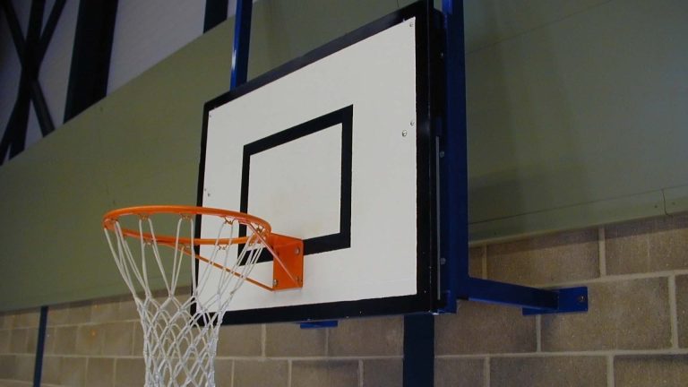 Practice Basketball Goals