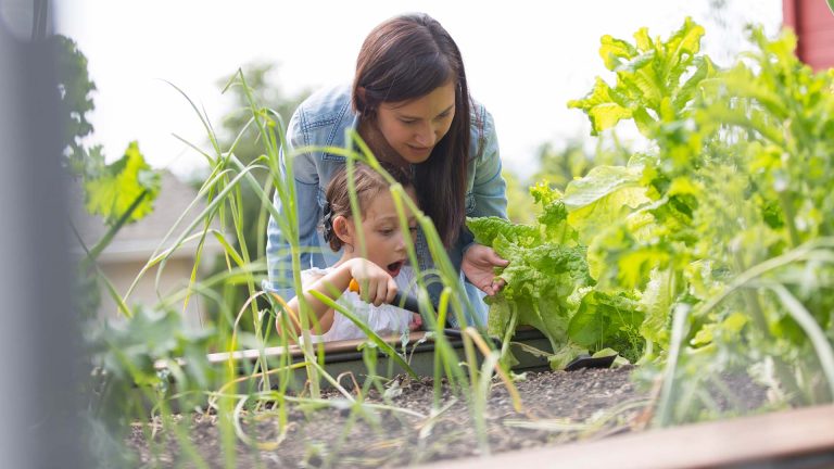 Planters & Growers