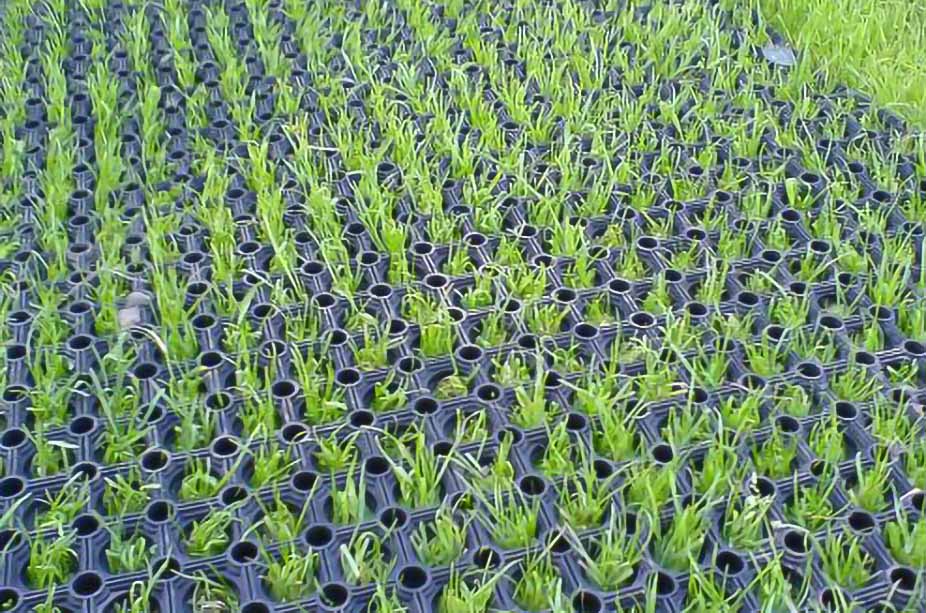 Grass Matting