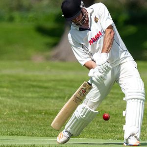 Cricket