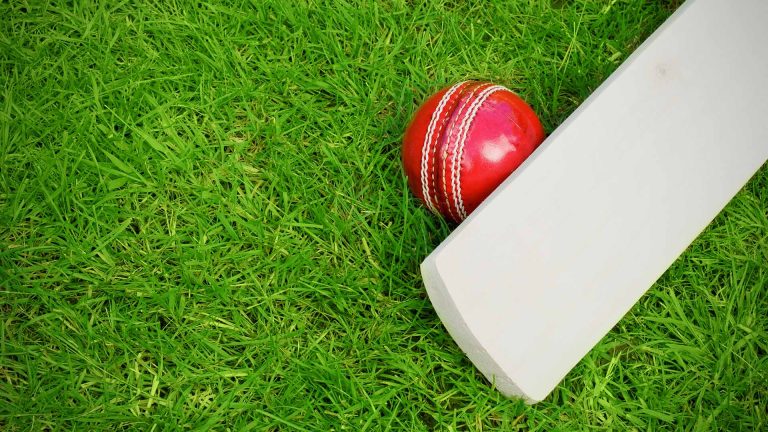 Artificial Cricket Pitches