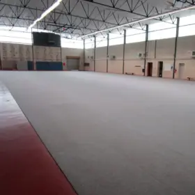 Sports Hall Protective Floor Tiles