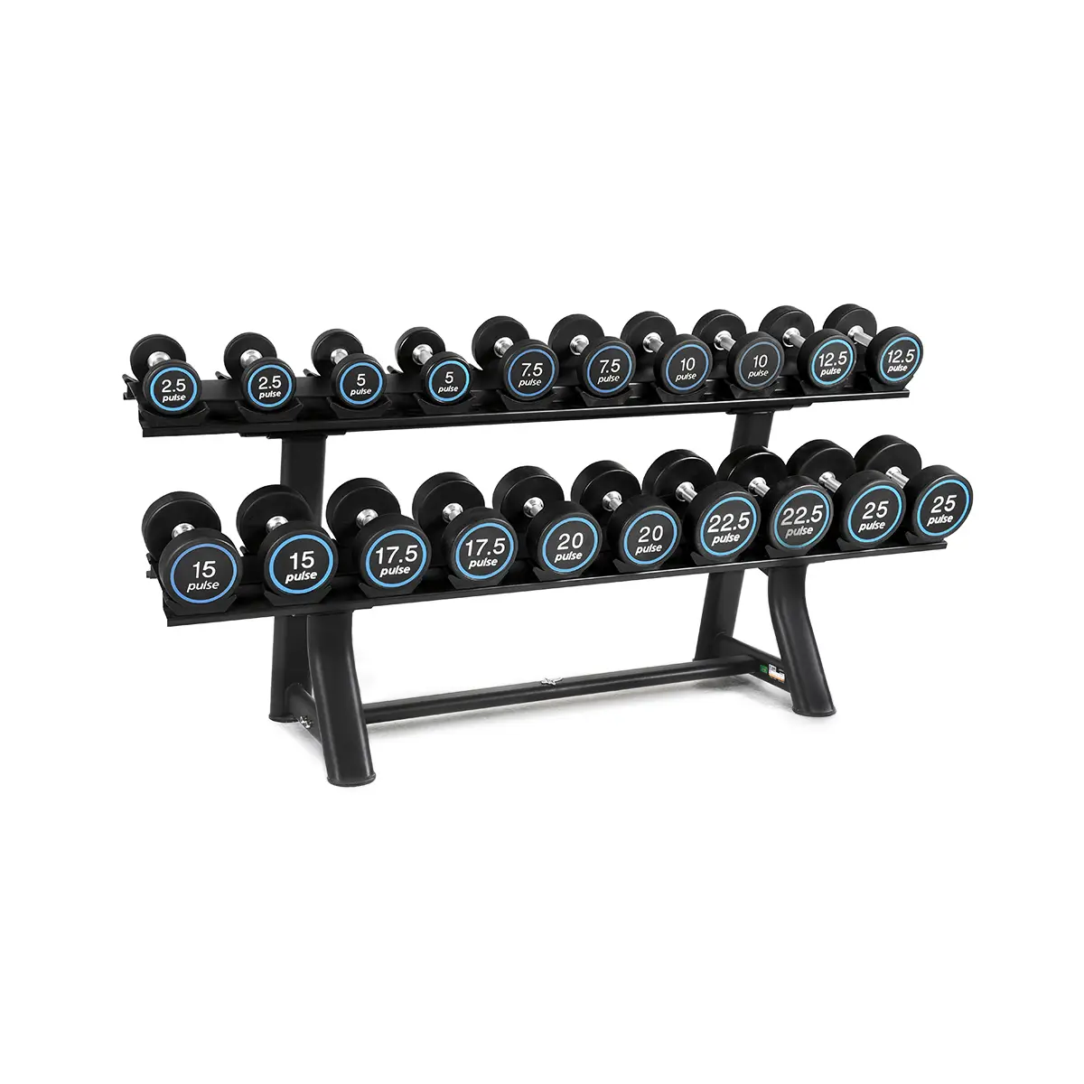 Dumbell Rack with black and blue dumbells
