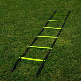Agility Training Ladder