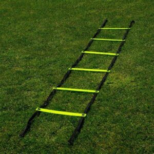 Agility Training Ladder