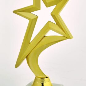 Star Player Trophy - Gold - 185mm