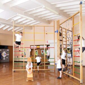 Spectrum Triple Climbing Frame