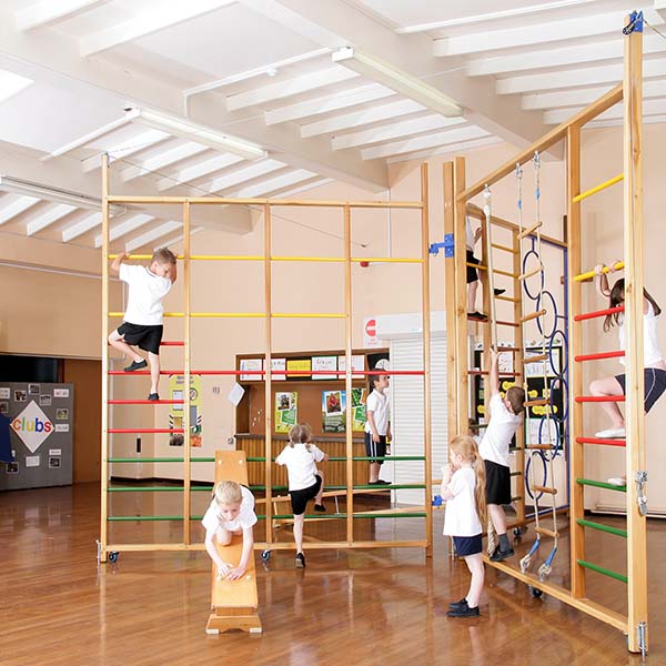Spectrum Triple Climbing Frame