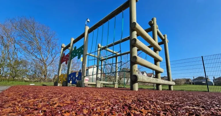 Rubber Mulch and frame main image