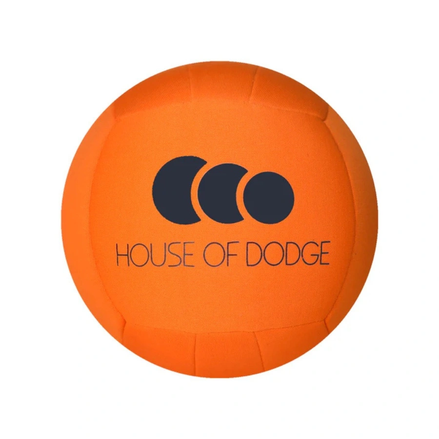 Orange Cloth Dodgeball