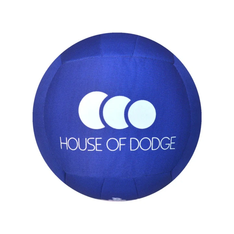 Blue Cloth Dodgeball