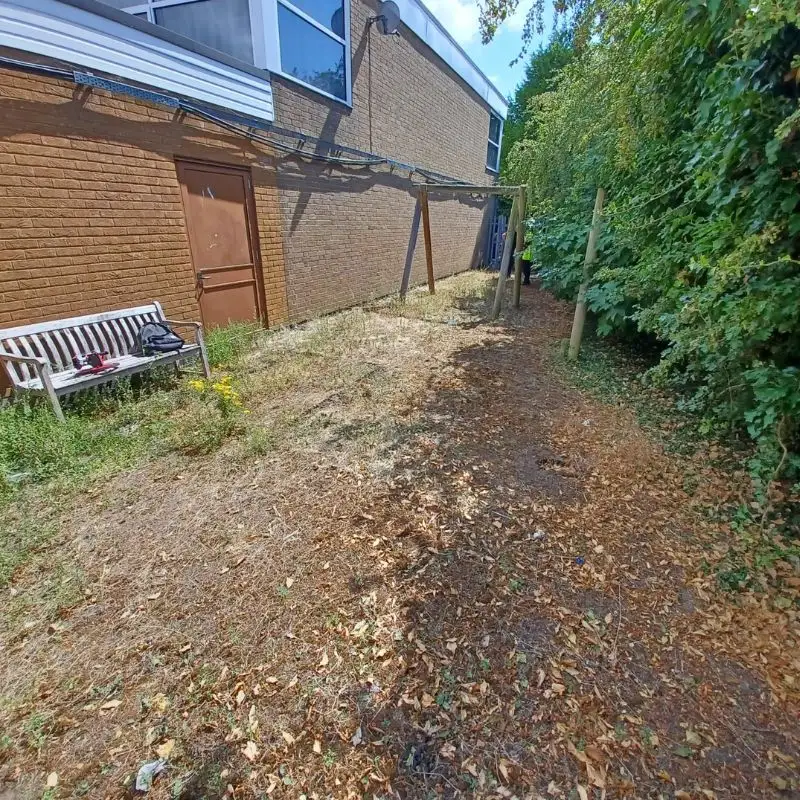 Grassy area with bench