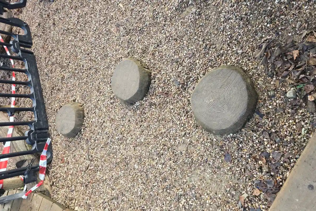 Tree Trunk Stepping Stones