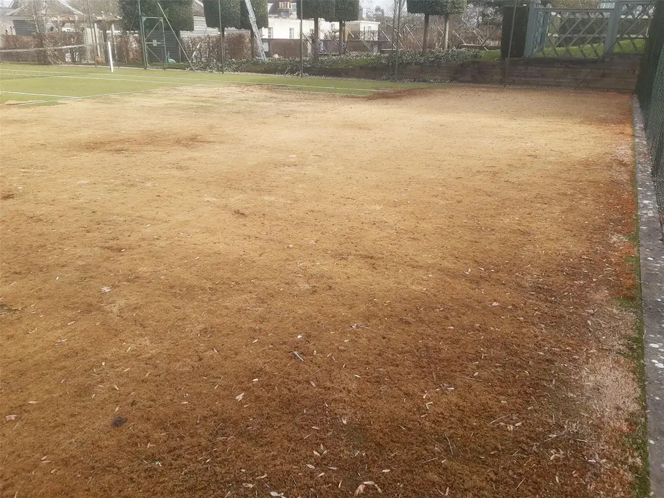 A tennis court with dry, brown grass covering most of the ground, with a small patch of green turf in the background. The scene feels neglected.